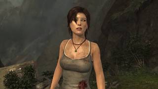 Tomb Raider 2013 benchmark on RX 470 on Linux