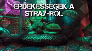 Érdekességek a Stray-ről