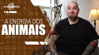 ENERGIA NEGATIVA E DEMANDA NOS ANIMAIS