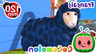 Bêê bêê mouton noir | Chansons pour Bébés | CoComelon Le coin des Animaux de JJ - Comptines Cartoon