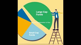 What are Large Cap Mutual Funds #shorts #shortvideo #viral #mutualfunds