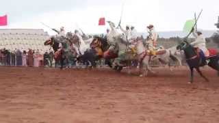 Moroccan Fantasia (horse race) Spectacle Full HD