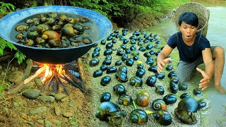 Survival in the rainforest-Find food by the river  met snail | pick snail for cook-Eating delicious