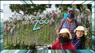 Singapore Zoo - Part 1 #Singaporezoo #zoo