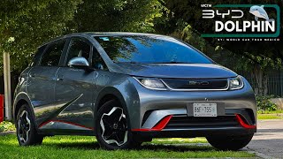 BYD DOLPHIN 2025 - ¡UNA GRAN OPCIÓN OPACADA POR SU VARIANTE MINI 🤯!