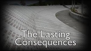 Srebrenica 1995: The Lasting Consequences