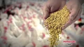 Baltic Casting Agency - Miratorg - Nuggets 2011 TV commercial