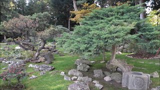 Japanese Garden at Schönbrunn Palace - Vienna, Austria