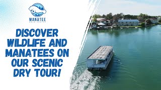 Discover Wildlife And Manatees On Our Scenic Dry Tour! | Manatee Swim Center