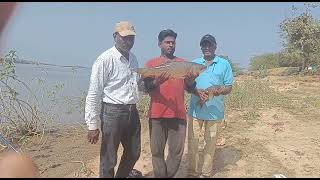 nizam sagar Golconda Fishing 🎣/Hyderabad 🎣/Telangana fishing 🎣