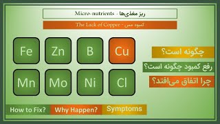 ⛔ درمان کمبود مس (Cu) در گیاهان - How to Fix Copper Deficiency in Plants