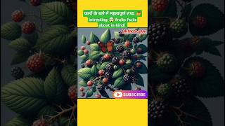 फलों के बारे में महत्वपूर्ण तथ्य intresting fruits facts about in hindi #fruits #food #health