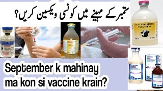 September ستمبر ma cow,buffalo, sheep, goat ma kon si vaccine krain?  kis tra or kitni mikdaar?