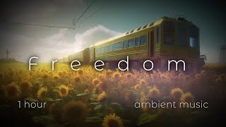 Freedom - 1 Hour of Enchanting Rainy Mysterious Ambient Music