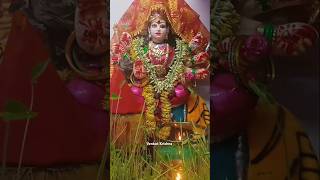 My Home #durgamata #durgamaa #durgapuja #navratri #visarjan #nimajjanam #viral #trending #shorts #yt