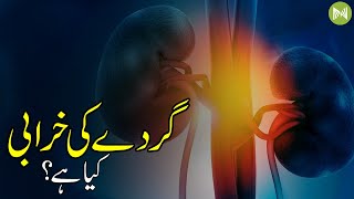 What is kidney failure?? | Gurday Ki Kharabi Kia Hai?? | Metahealth