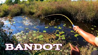 MANCING BETOK BANDOT DI KANAL YANG BANYAK RANTINGNYA