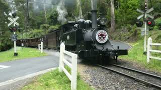 14A Returns! First official run | Puffing Billy.