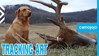 【Camojojo】The Role of Hound Hunting in Modern Deer Management