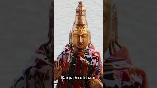 Vlog 21 | Mylapore Karpagambal Abhishegam #Darshanam #shorts #ytshorts #ashortaday #youtube