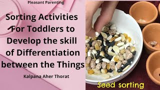 Sorting Activities for Toddlers to Develop the skill of differentiation Between the Things