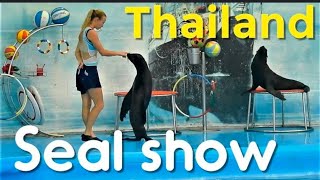 THAILAND TRIP |PART - 1|  SEALION FUNWORLD SHOW .