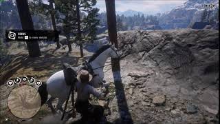 My horse wants me dead.