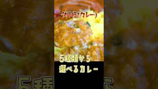 【福岡】地域密着型インドカレー店！ドッグラン付き♪＠インド食堂 ムランカリー #shorts