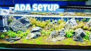 Ada planted tank setup in India|utekar fisheries|Ada nature gallery|setup of planted tank|Ada tank|