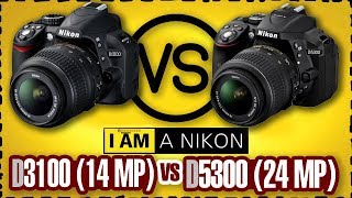 Сравнение зеркалок Nikon d3100 vs d5300