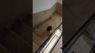 A two and half years old walking by himself in the stairs #israel #trending #viral #momlife