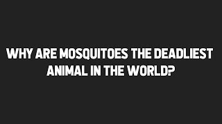 MQA S1 E1: Why are Mosquitoes the Deadliest Animal in the World