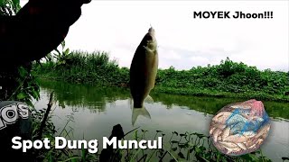 Mancing Melem/Nilem Di Spot Muncul Ambarawa