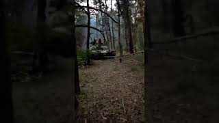 Menacing Ukrainian T-64BM2 tank in a forest