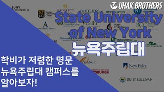 뉴욕주립대는 어떤 학교일까? | State University of New York(SUNY)