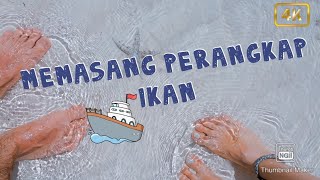 MENCARI IKAN DENGAN JARING BUBU ||how to catch fish with trapnet #ikan #bubu #bubupayung #jaringikan