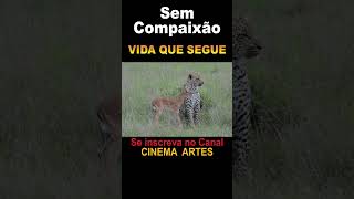 #sem Compaixão - #shorts