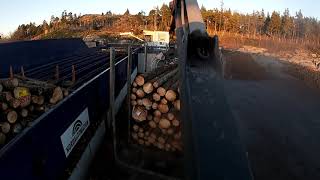 Unloading a load of Timber From a Timbertruck #10