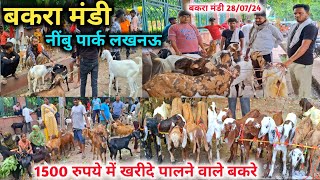 1500 रुपये में खरीदे पालने वाले बकरे 🐐🐐 |28/07/24 |Nimbu Park Bakra mandi | Lucknow Bakra Mandi