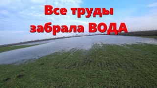 ВСЕ НАШИ ТРУДЫ ПОД ВОДОЙ / Подтопление полей в Краснодарском Крае