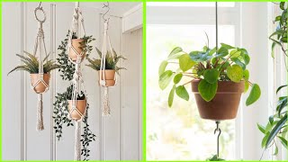 Beautiful Macrame Hanging Plants Design