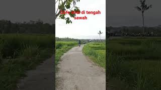 cafe viral di tengah sawah malang Selatan