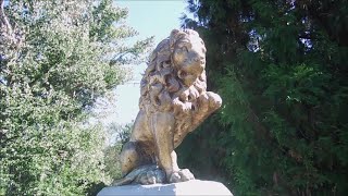 RUTLAND LIONS CLUB - GOLDEN LION STATUE - seen at MISSION CREEK REGIONAL PARK, Kelowna, BC, Canada