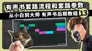 有声书的套路流程和套路参数 13集 从小白到大师有声书后期教程 愤怒的调音师 声卡话筒测评