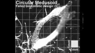 Failure of a biomimetic Medusoid design to propel itself (nbt.2269-S3)