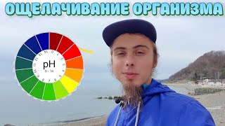 Как защелочить организм? Ощелачивание через питание. Начало внутренней гигиены. Чистка кишечника.