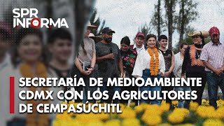 Cómo el Gobierno de la CDMX logró recuperar los plantíos de flor de cempasúchitl tras las lluvias