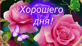 Пусть счастье всюду тебя находит и удаются все дела! 🌷🌺🐞ХОРОШЕГО ДНЯ ☀️ #музыкальнаяоткрытка