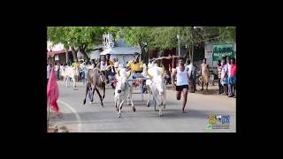 ottapidaram race  ஓட்டப்பிடாரம் மாட்டுவண்டி பந்தயம்