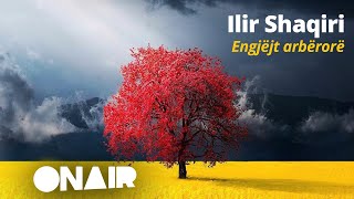 Ilir Shaqiri - Engjëjt arbërorë